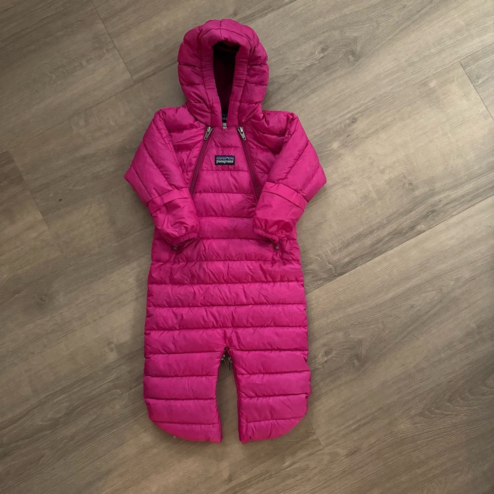 Patagonia Bunting